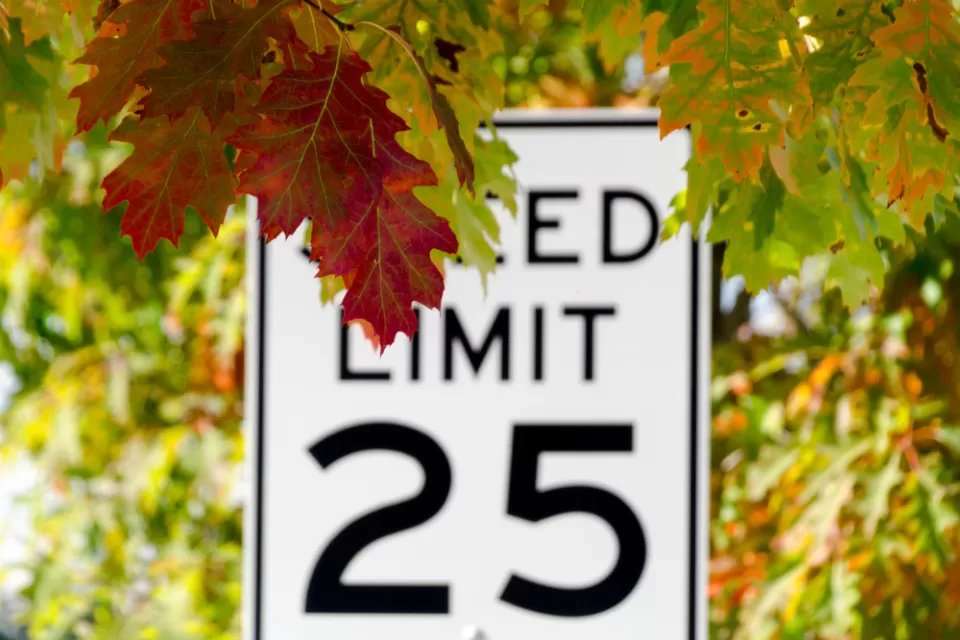 25 mph speed limit sign partially obscured by red and orange fall leaves